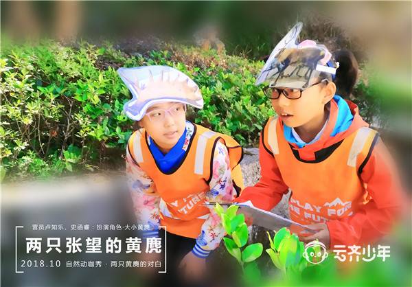 04 黄麂 04 黄麂