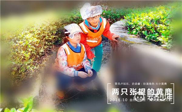 02 卢知乐 史函睿 02 卢知乐 史函睿